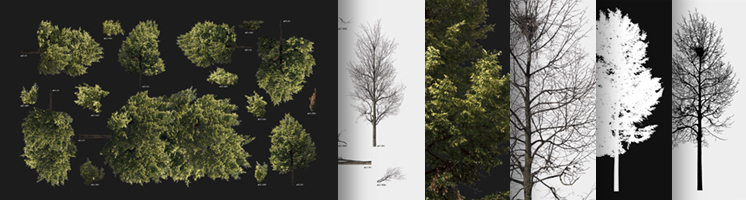 NB Architecture, NBF-E5S+W [1—7], HD Ltd. Ed. Set